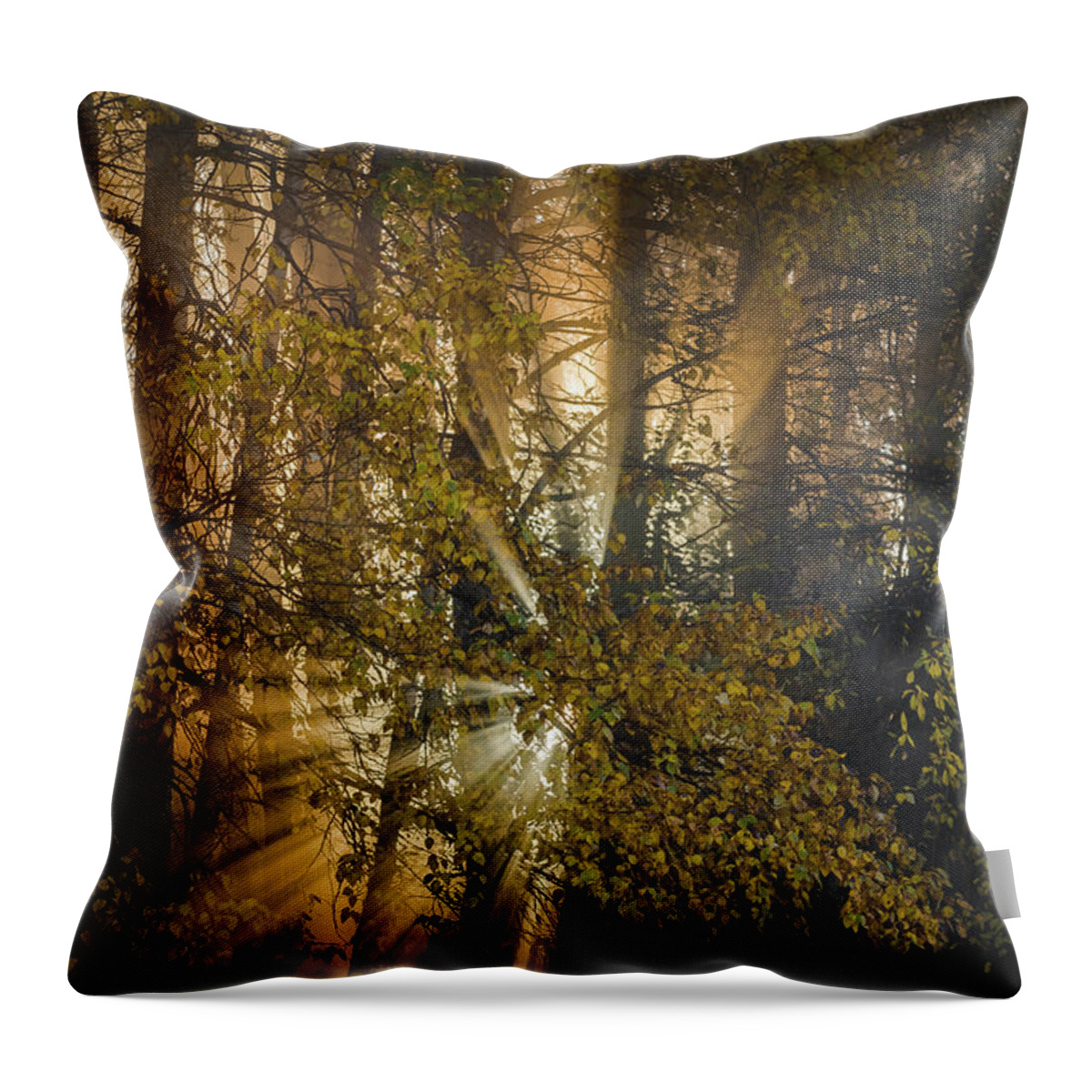 God Rays Throw Pillow featuring the photograph Morning Day Break by Scott Slone