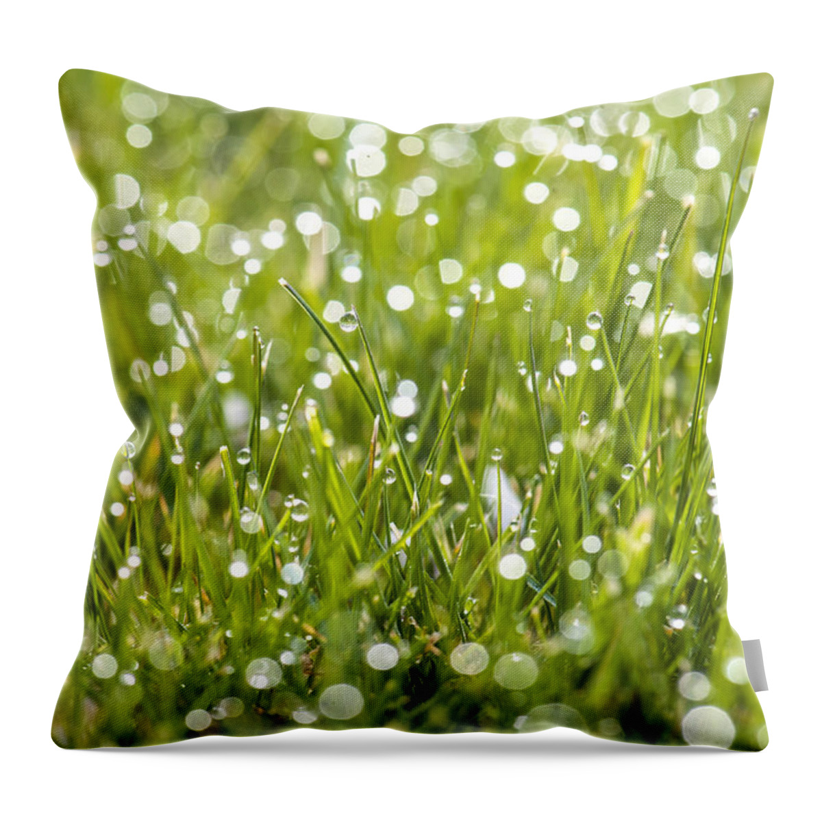 Grass Throw Pillow featuring the photograph Morning Dew by Matt McDonald