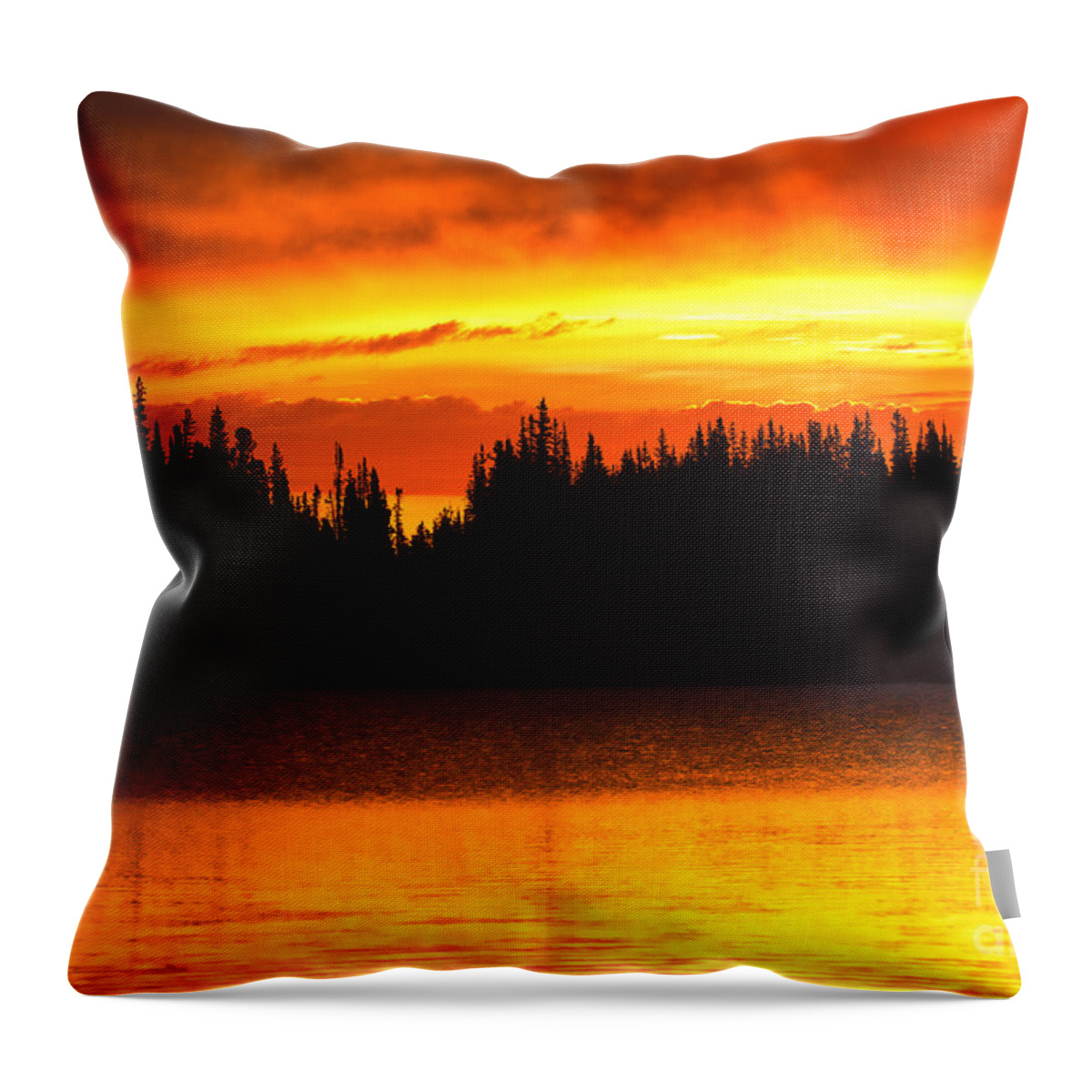 Colorado Throw Pillow featuring the photograph Morning Fire by Aaron Whittemore