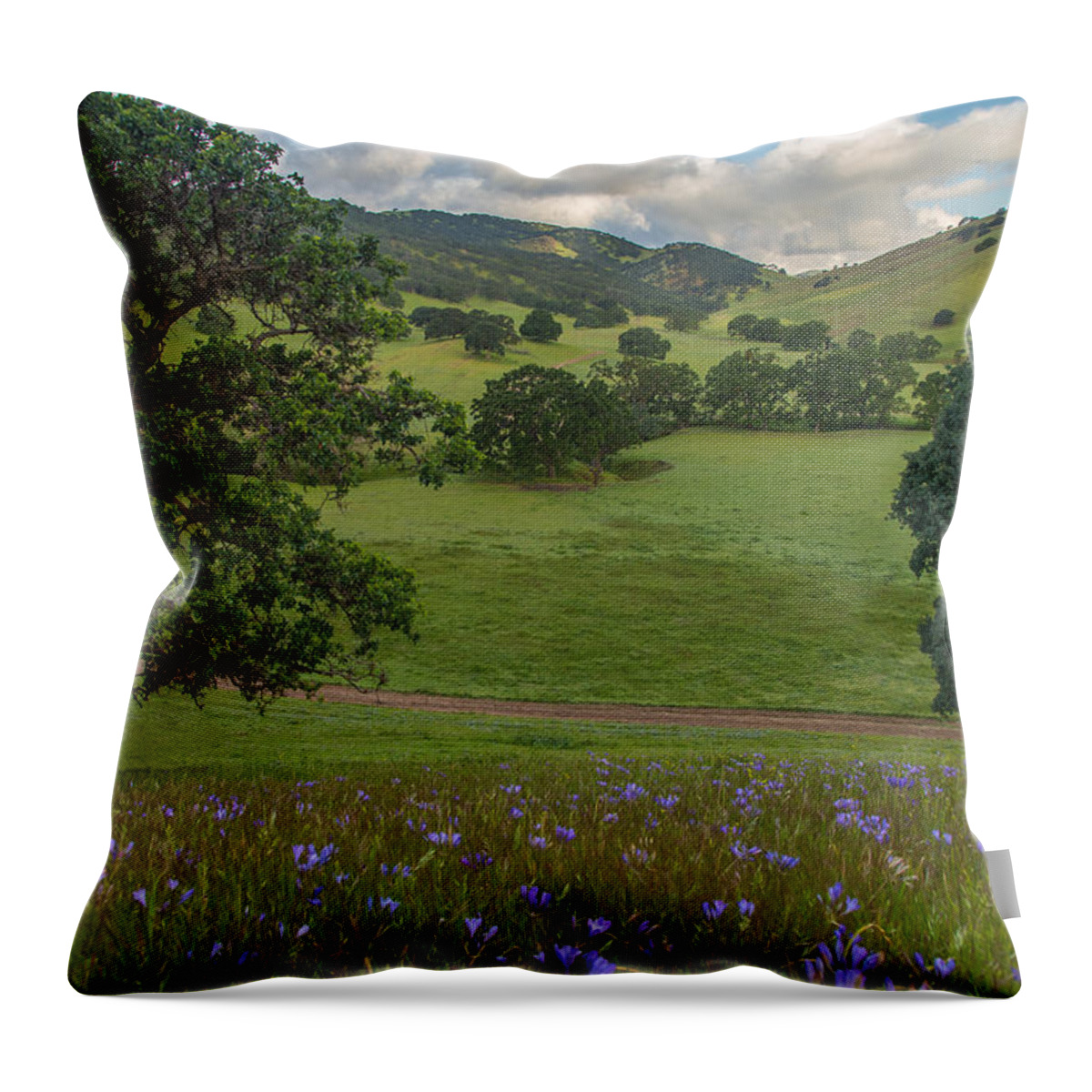 Landscape Throw Pillow featuring the photograph Morning Flowers at Round Valley by Marc Crumpler