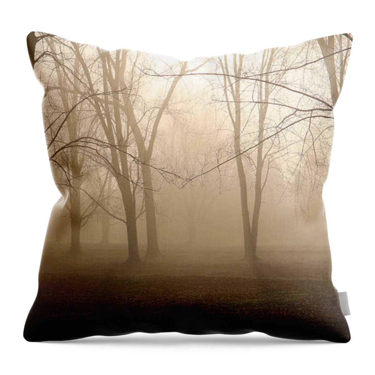 Morning Fog Throw Pillow featuring the photograph Morning Fog 2 4445 by Jack Schultz