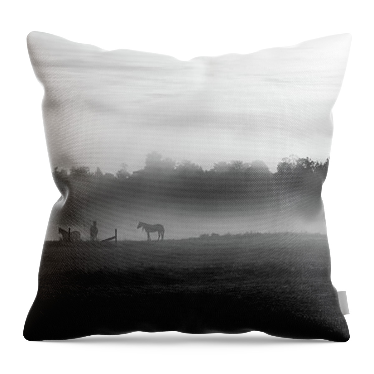 Horse Throw Pillow featuring the photograph Morning Fog BW by Michael Ver Sprill
