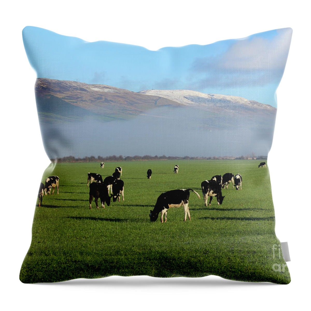 Donegal On Your Wall Throw Pillow featuring the photograph Morning Fog Donegal Ireland by Eddie Barron