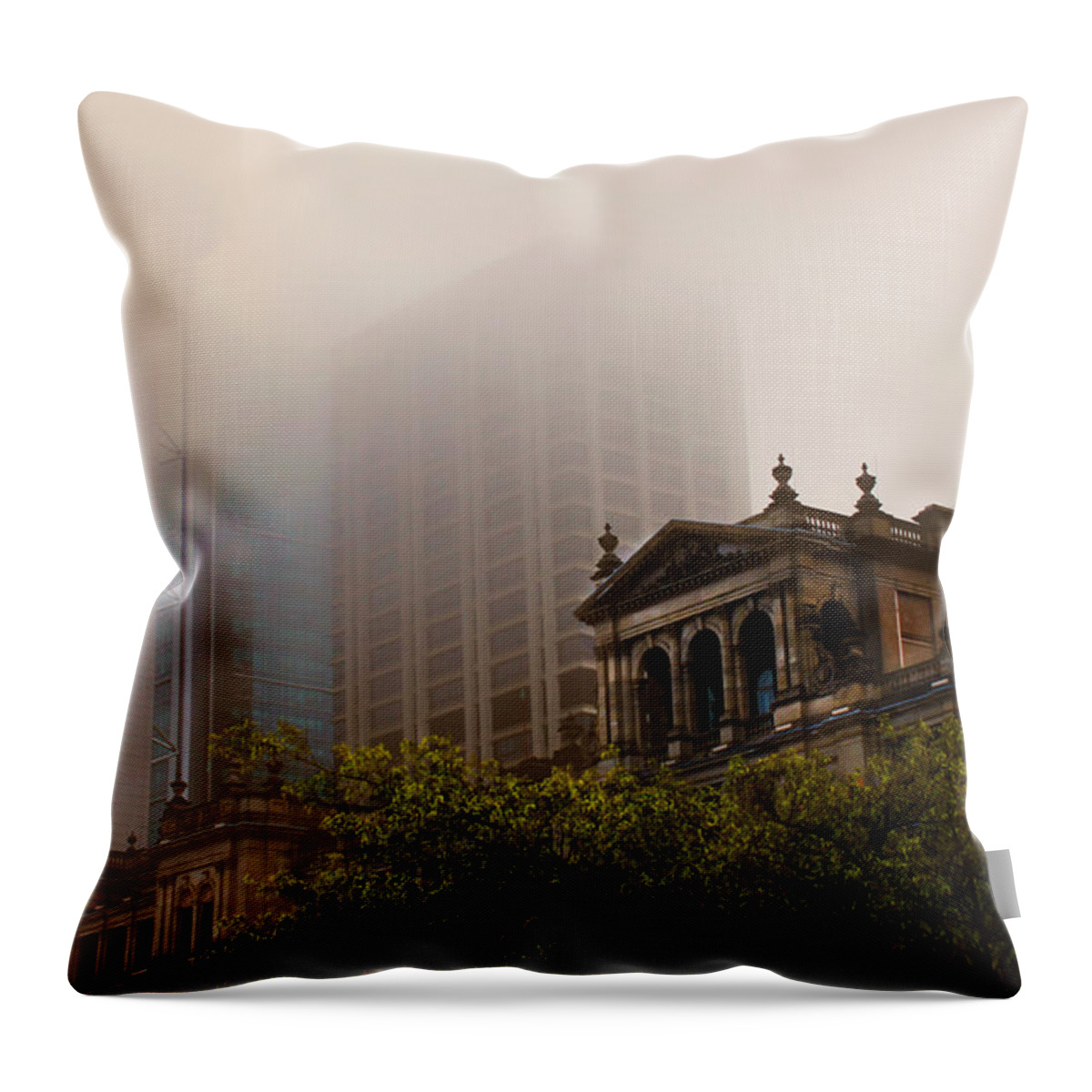 Treasury Throw Pillow featuring the photograph Morning Fog over the Treasury by Susan Vineyard