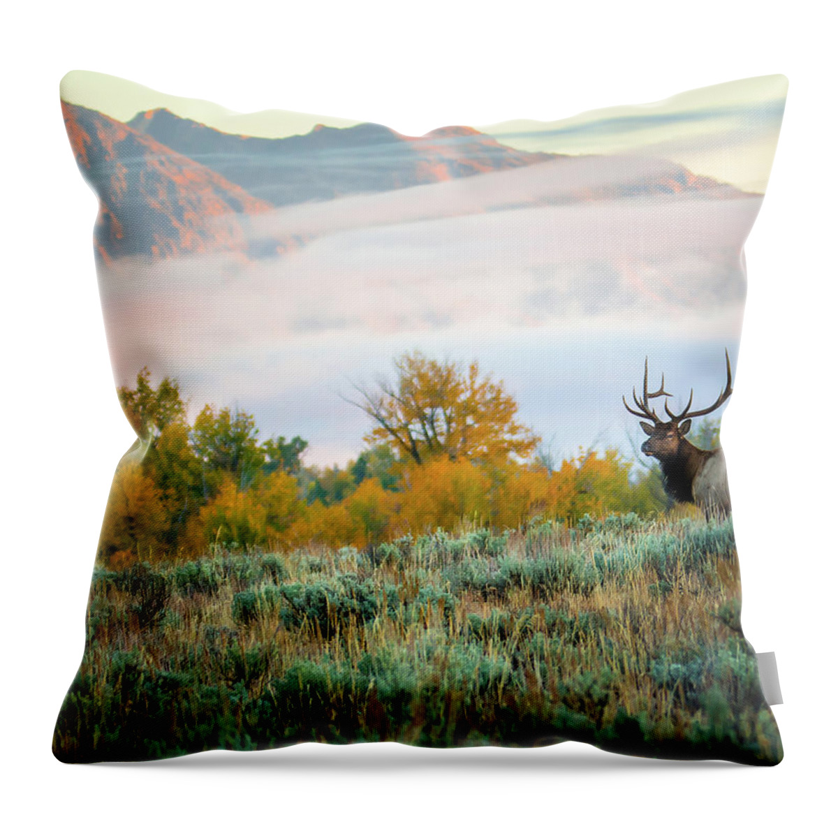 Nature Throw Pillow featuring the photograph Morning Fog by Steve Marler