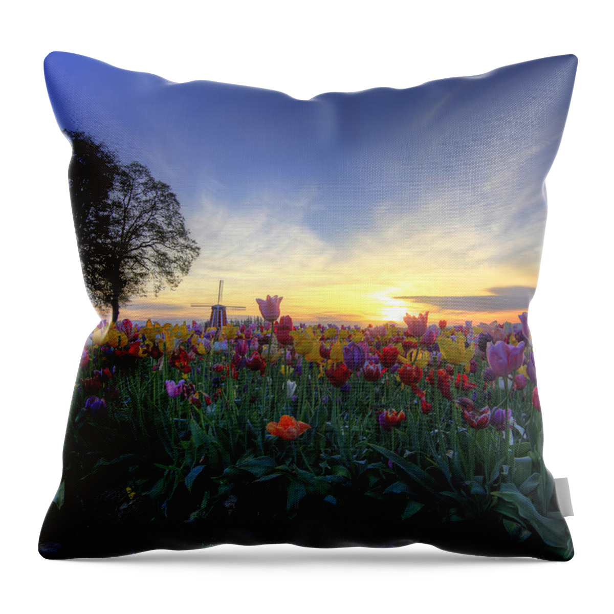 Sunrise Throw Pillow featuring the photograph Morning Glory by Betty Doran