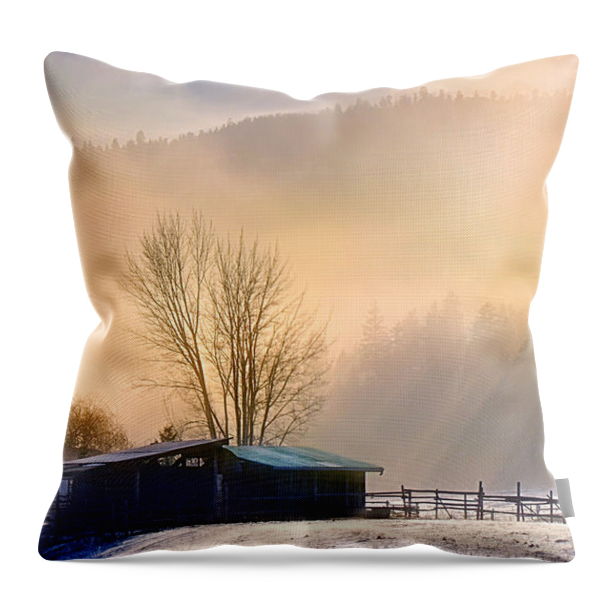Okanagan Falls Throw Pillow featuring the photograph Morning Glory by John Poon