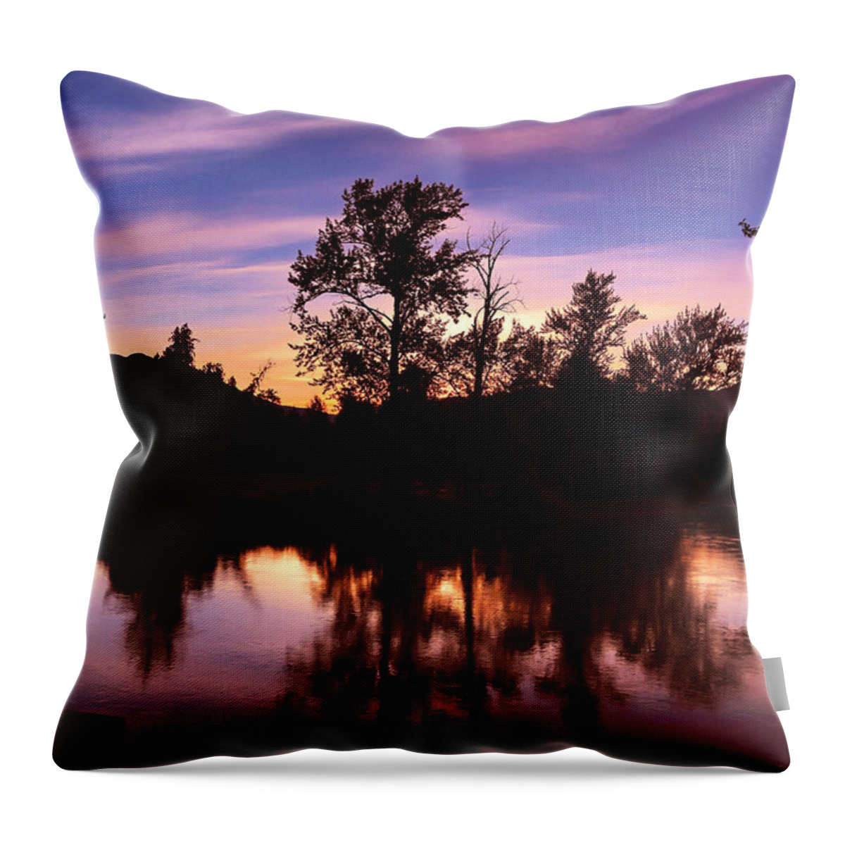 Morning Throw Pillow featuring the photograph Morning Glow by Monte Arnold