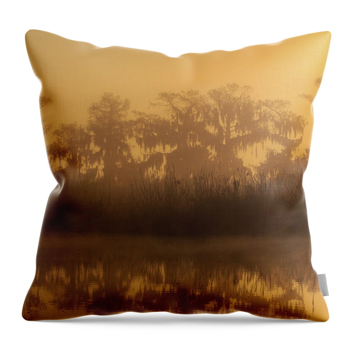 Florida Throw Pillow featuring the photograph Morning Glow by Stefan Mazzola