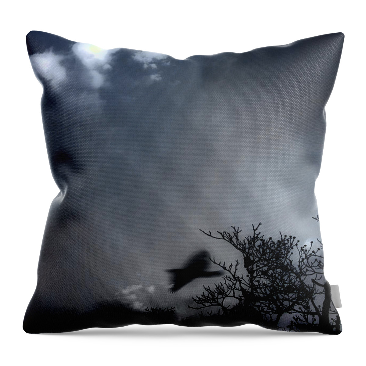 Morning Throw Pillow featuring the photograph Morning by Gray Artus