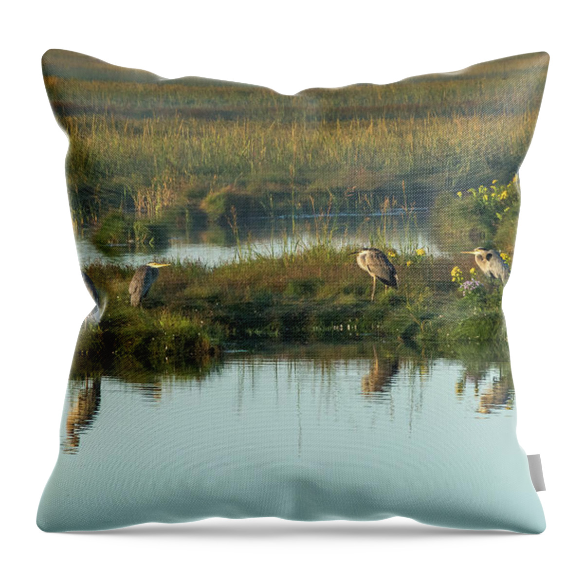 Blue Throw Pillow featuring the photograph Morning Herons by Douglas Wielfaert