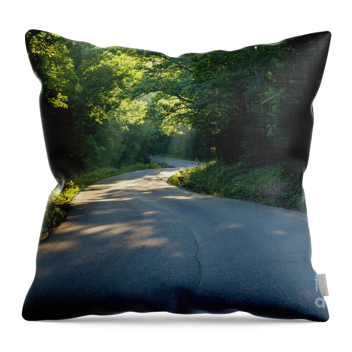Lake Throw Pillow featuring the photograph Morning Light I by Dennis Hedberg