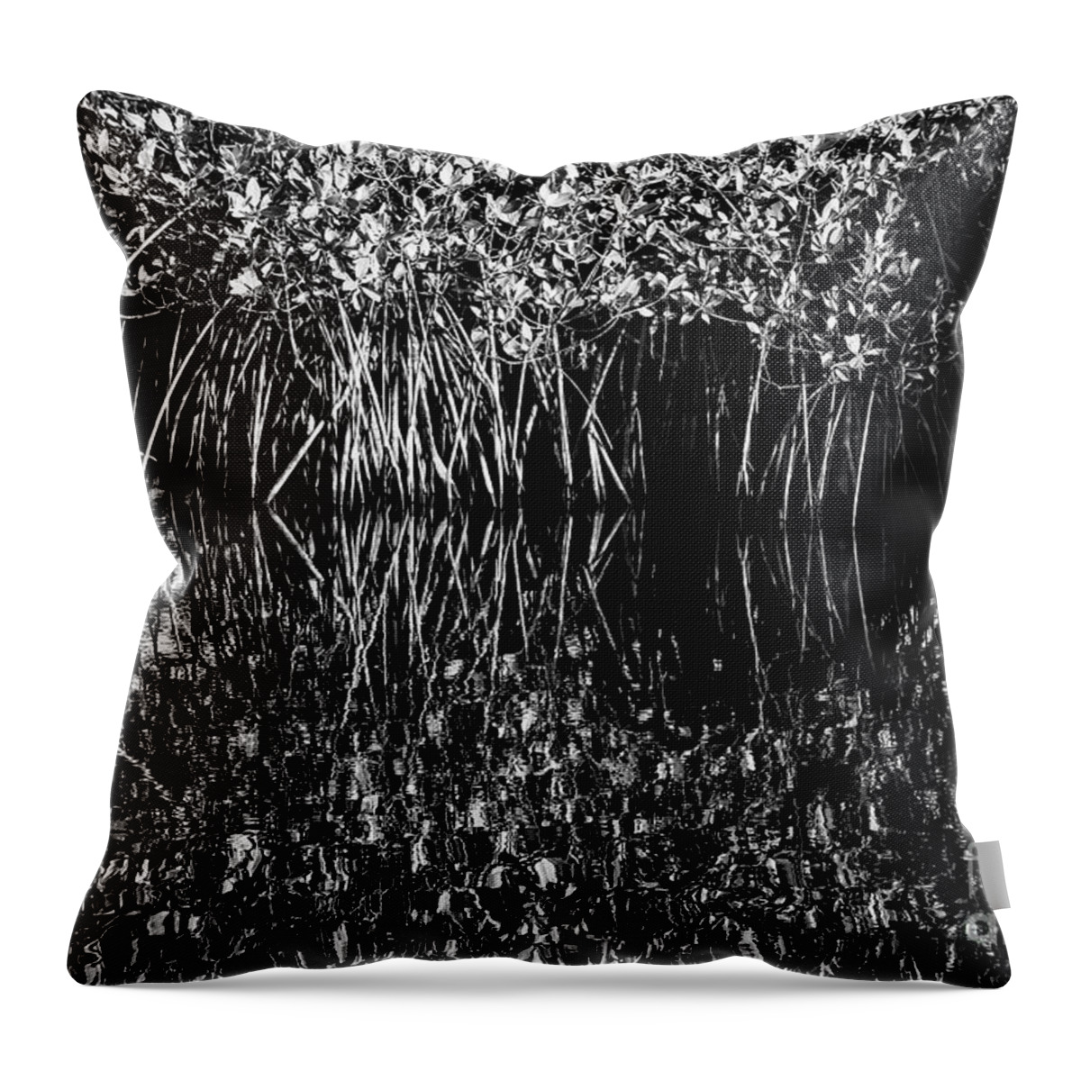 The Everglades Throw Pillow featuring the photograph Morning Light Mangrove Reflection 2 by Bob Phillips