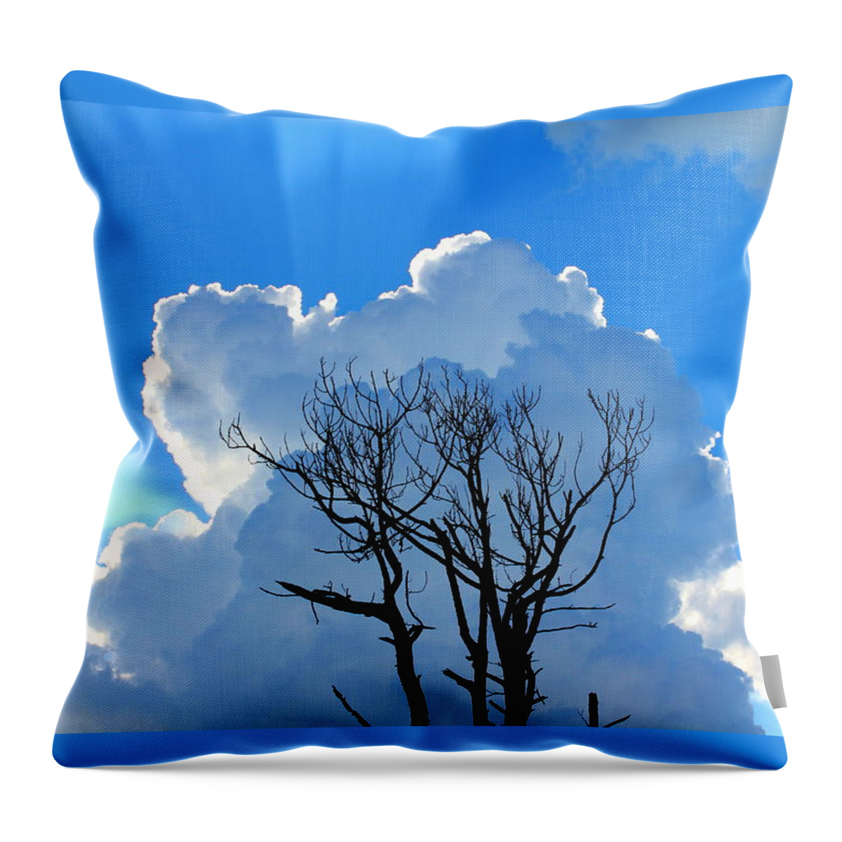 Cloud Throw Pillow featuring the photograph Morning Magnificence by Larry Beat