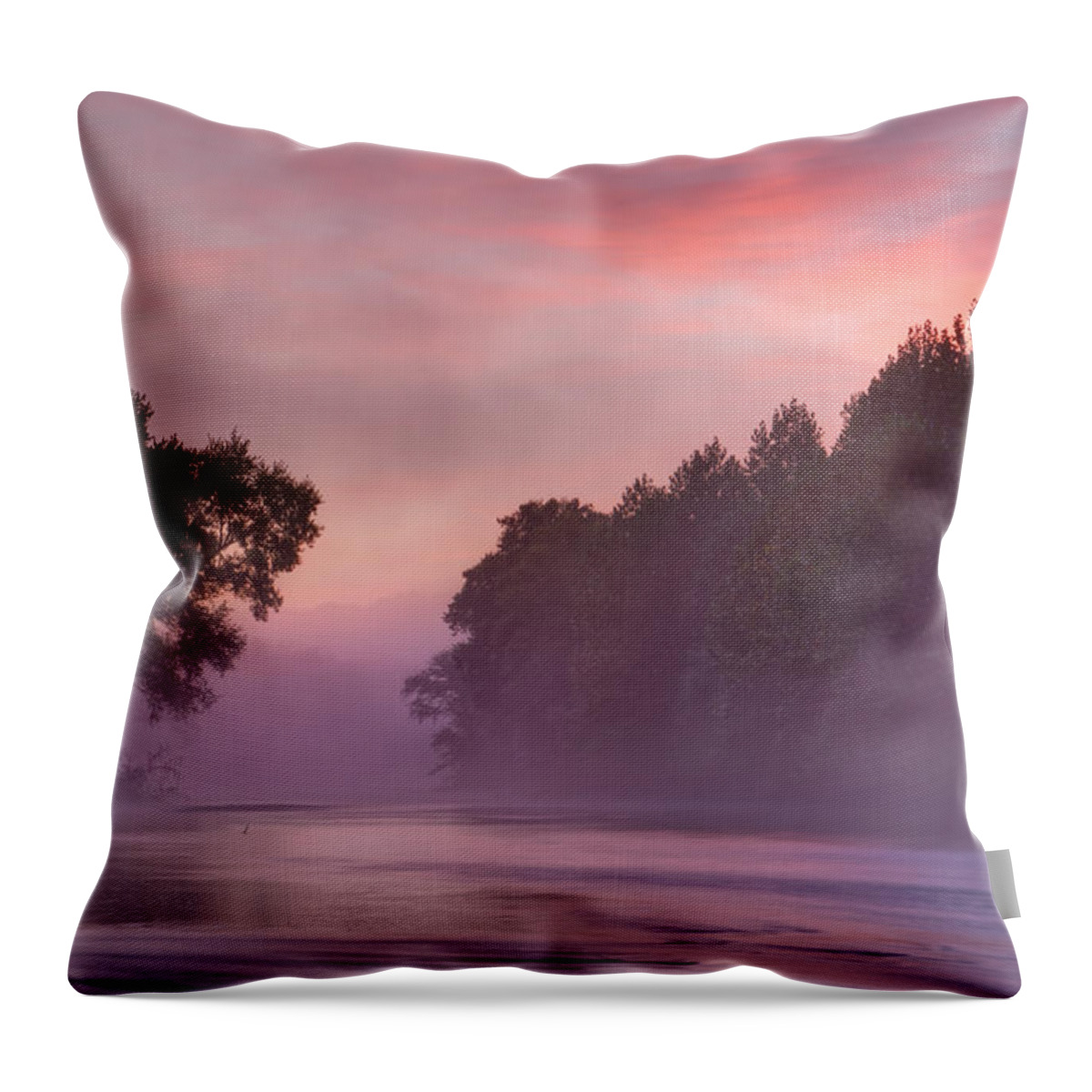 2015 Throw Pillow featuring the photograph Morning Mist by Robert Charity