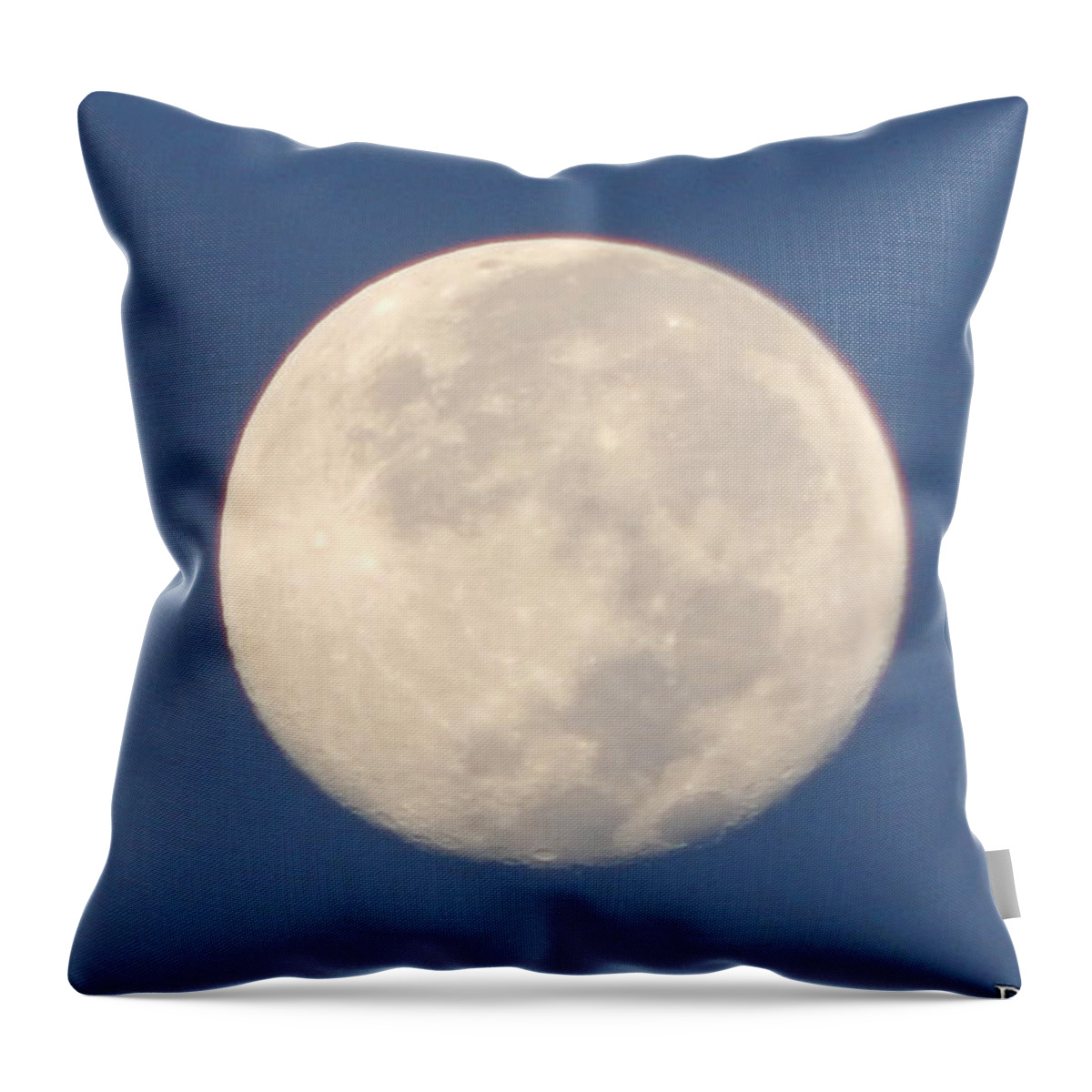 Morning Moon Throw Pillow featuring the photograph Morning Moon by Barbara Tristan