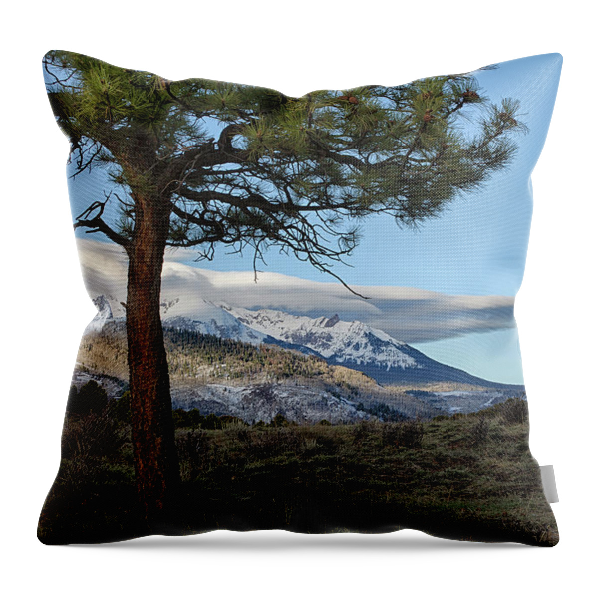 Moon Throw Pillow featuring the photograph Morning Moon by Denise Bush