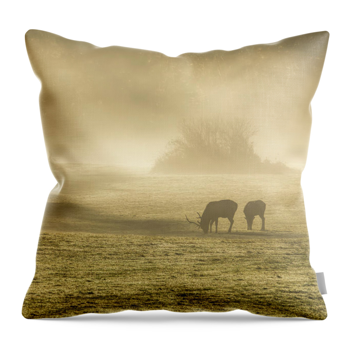 Elk Throw Pillow featuring the photograph Morning on the Meadows 0725 by Kristina Rinell