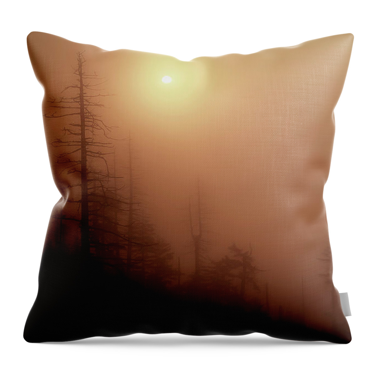 Fog Scene Throw Pillow featuring the photograph Morning On The Mountain by Mike Eingle