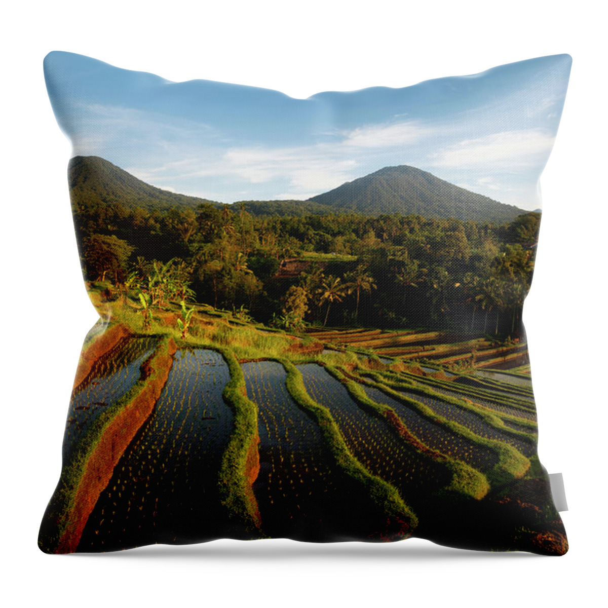 Jatiluwih Throw Pillow featuring the photograph Morning on the Terrace by Andrew Kumler