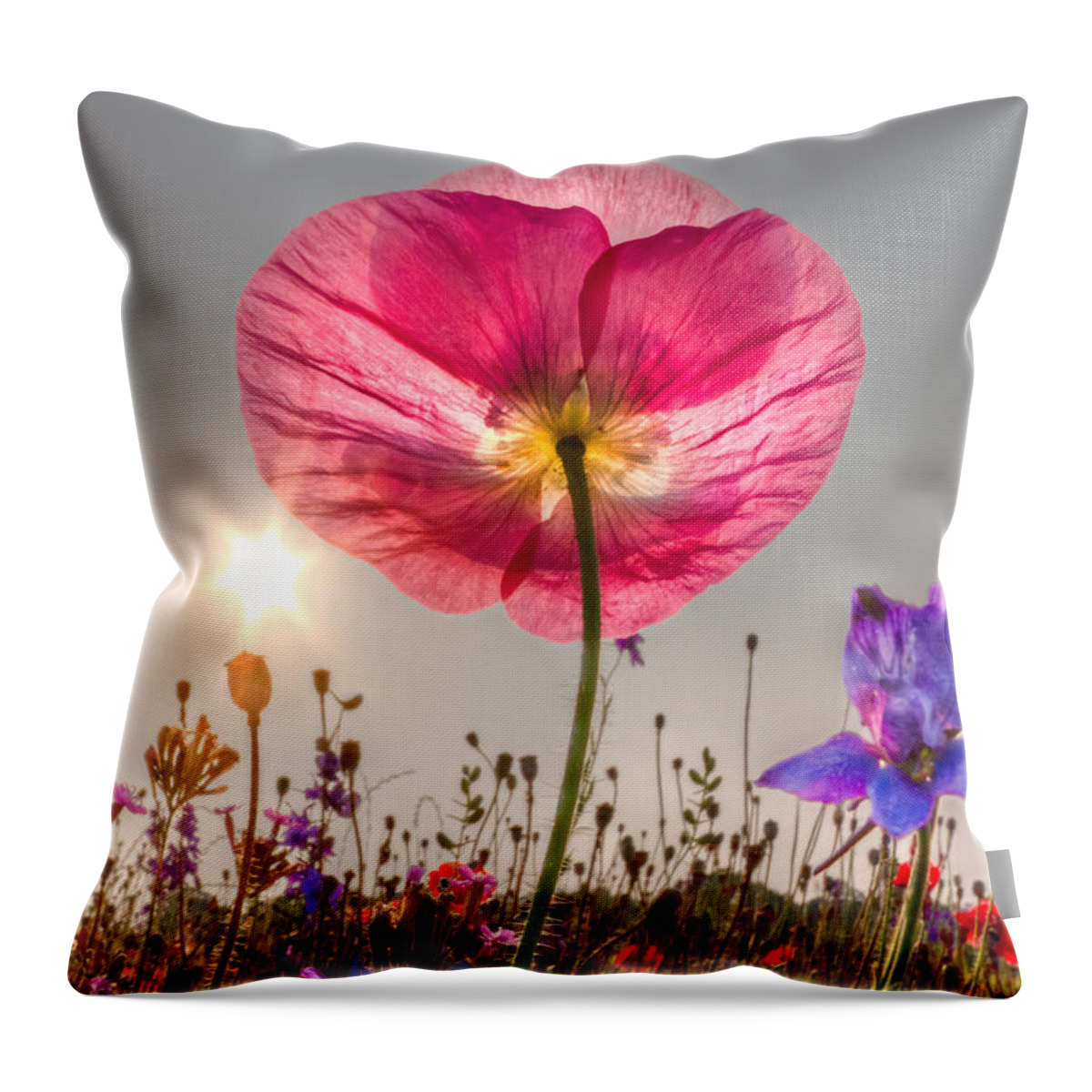Fog Throw Pillow featuring the photograph Morning Pink by Debra and Dave Vanderlaan
