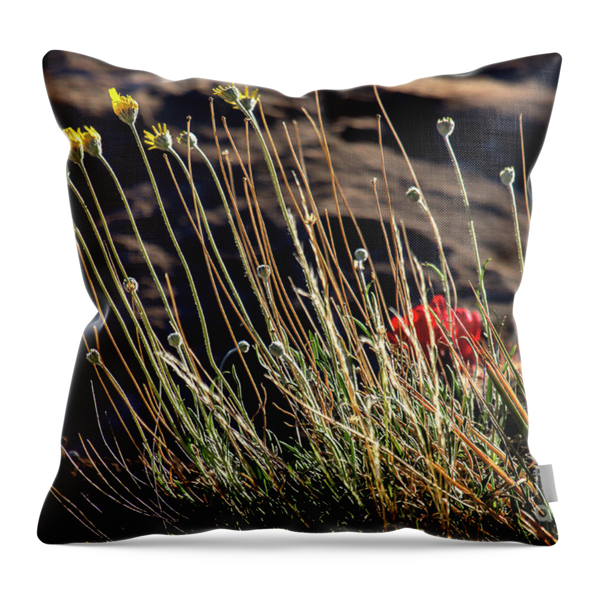 Wildflowers Throw Pillow featuring the photograph Morning Praise by Jim Garrison