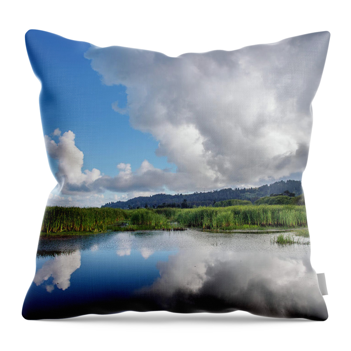 Humboldt Bay Throw Pillow featuring the photograph Morning Reflections on a Marsh Pond by Greg Nyquist