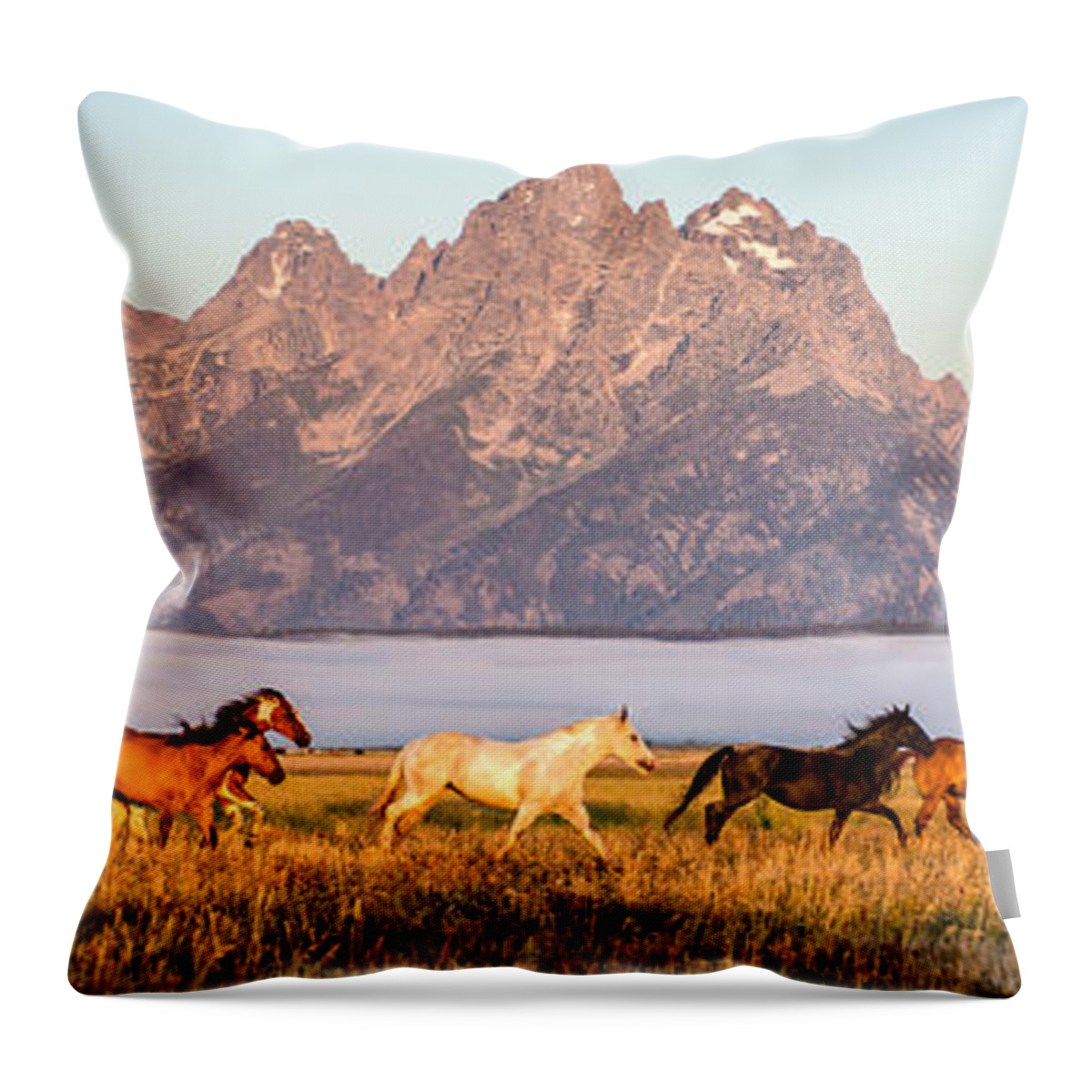 Grand Teton Throw Pillow featuring the photograph Morning Roundup at Triangle X Ranch by Matt Hammerstein