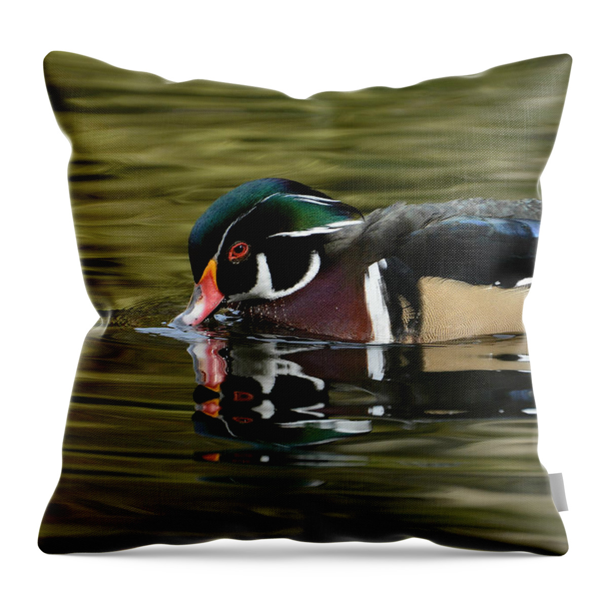 Wood Duck Throw Pillow featuring the photograph Morning Serenity by Fraida Gutovich