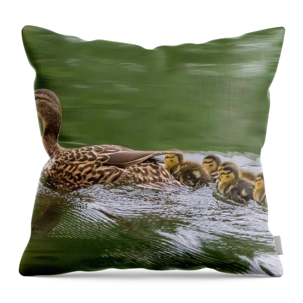 California Throw Pillow featuring the photograph Morning Swim by Marc Crumpler
