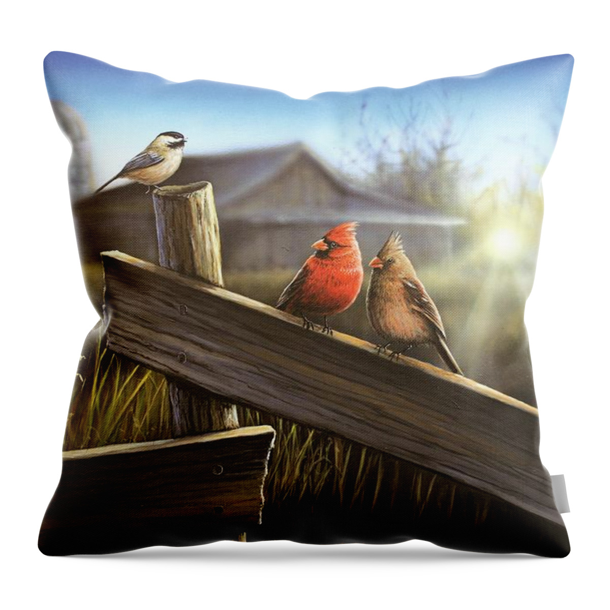 Fence Throw Pillow featuring the painting Morning Song by Anthony J Padgett