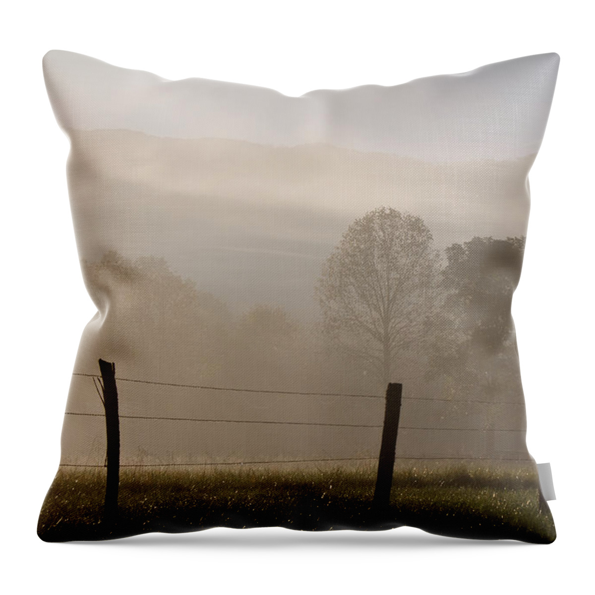 Appalachia Throw Pillow featuring the photograph Morning Sparks by Lana Trussell