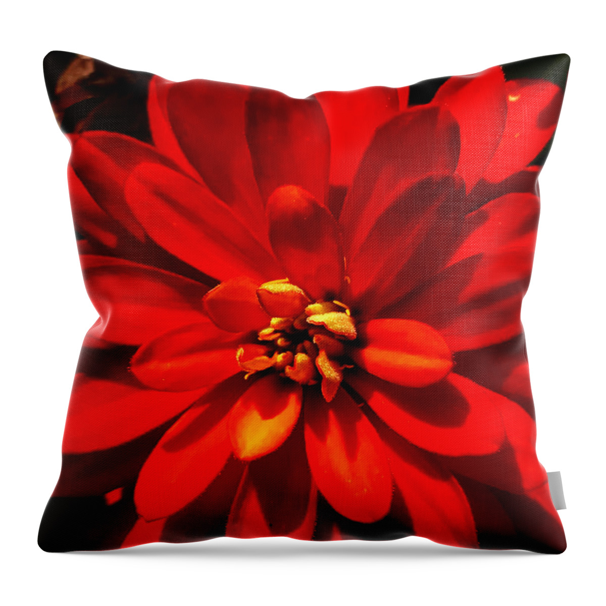 Art Throw Pillow featuring the photograph Morning Star by Jeff Iverson