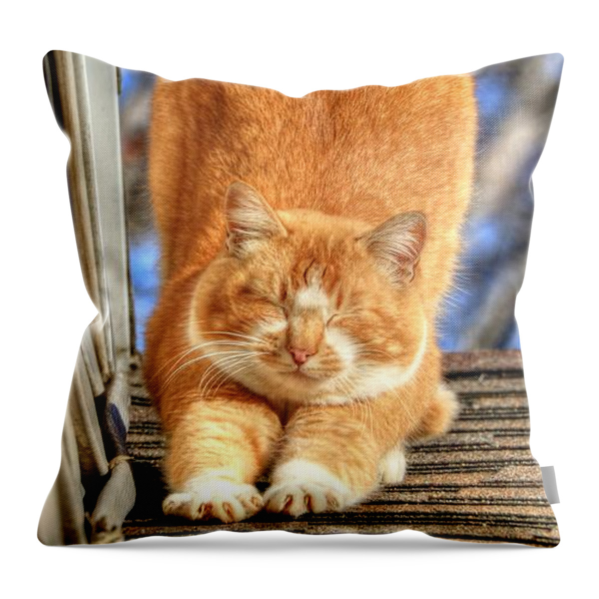 Tabby Throw Pillow featuring the photograph Morning Stretch by J Laughlin