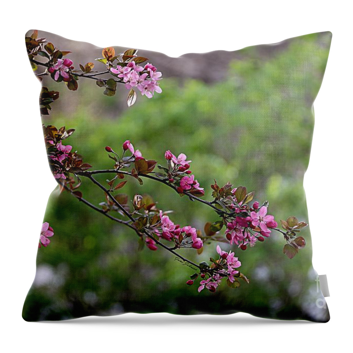 Flowering Crabapple Throw Pillow featuring the photograph Morning Stretch by Yumi Johnson