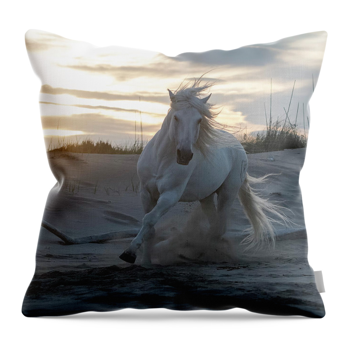 Horse Throw Pillow featuring the photograph Morning Stroll by Wade Aiken