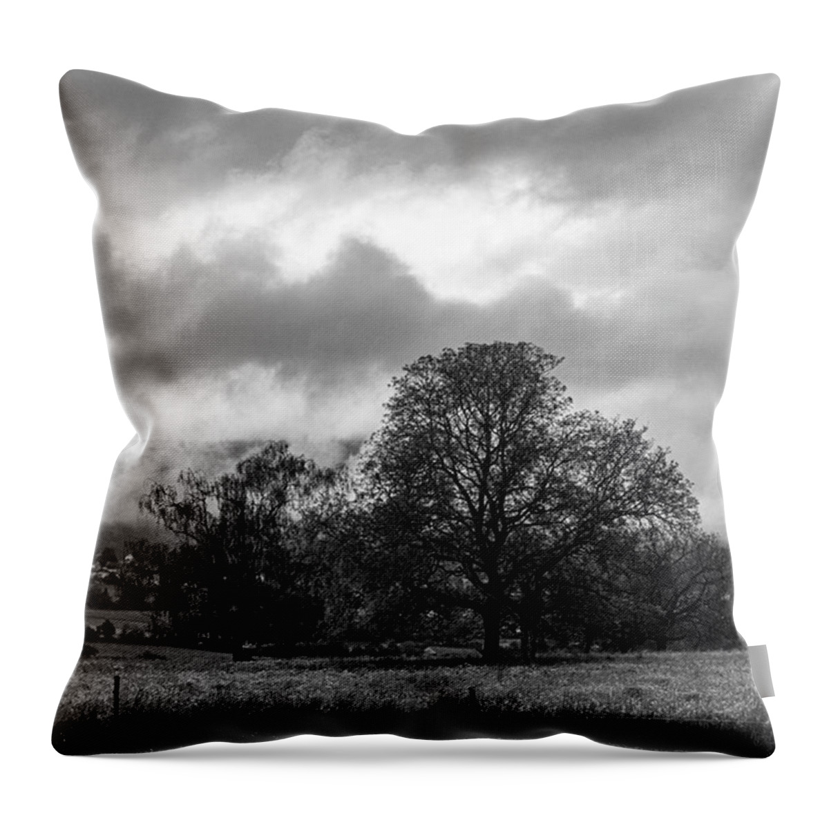 Misty Throw Pillow featuring the photograph Morning View by Aleck Cartwright