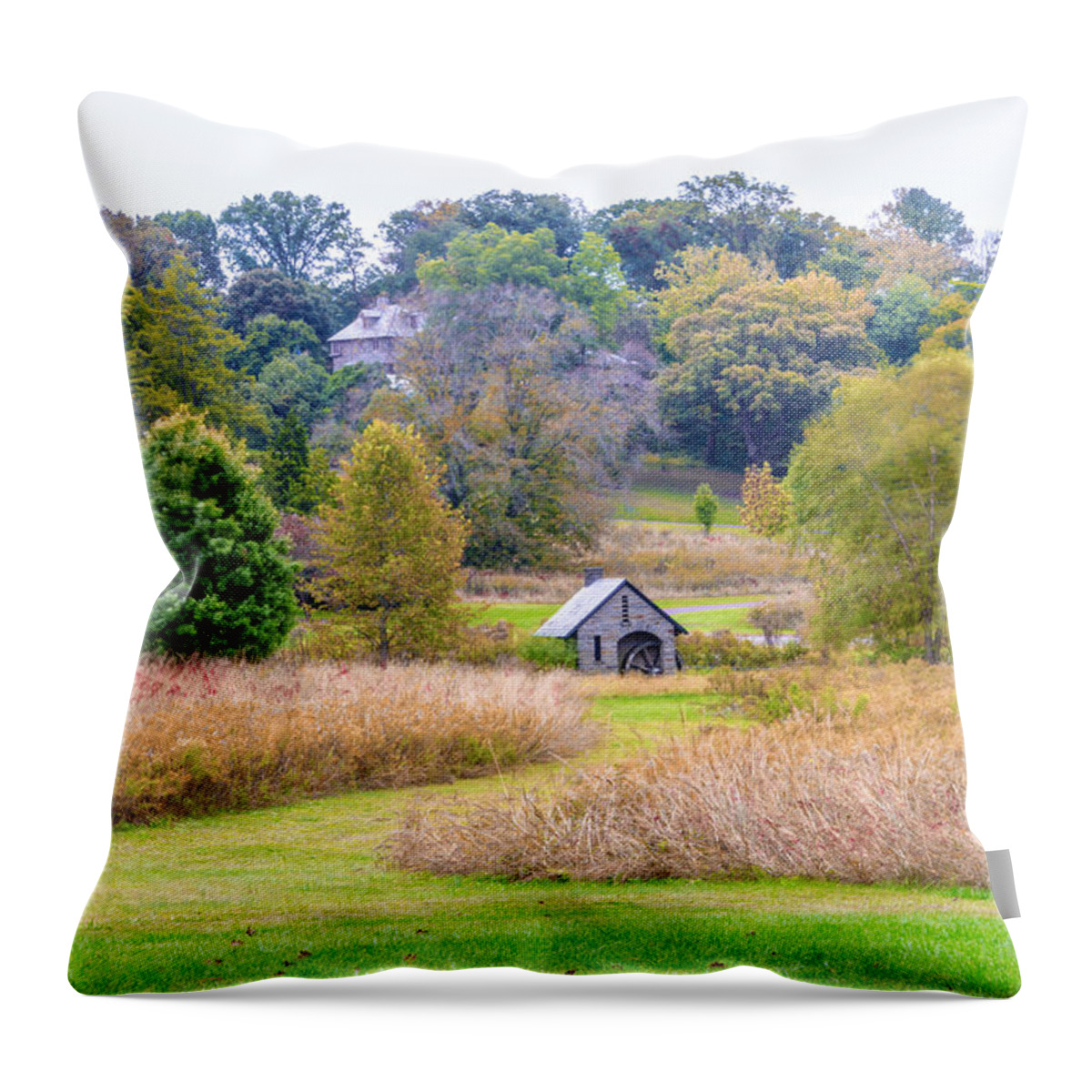 Morris Throw Pillow featuring the photograph Morris Arboretum by Bill Cannon