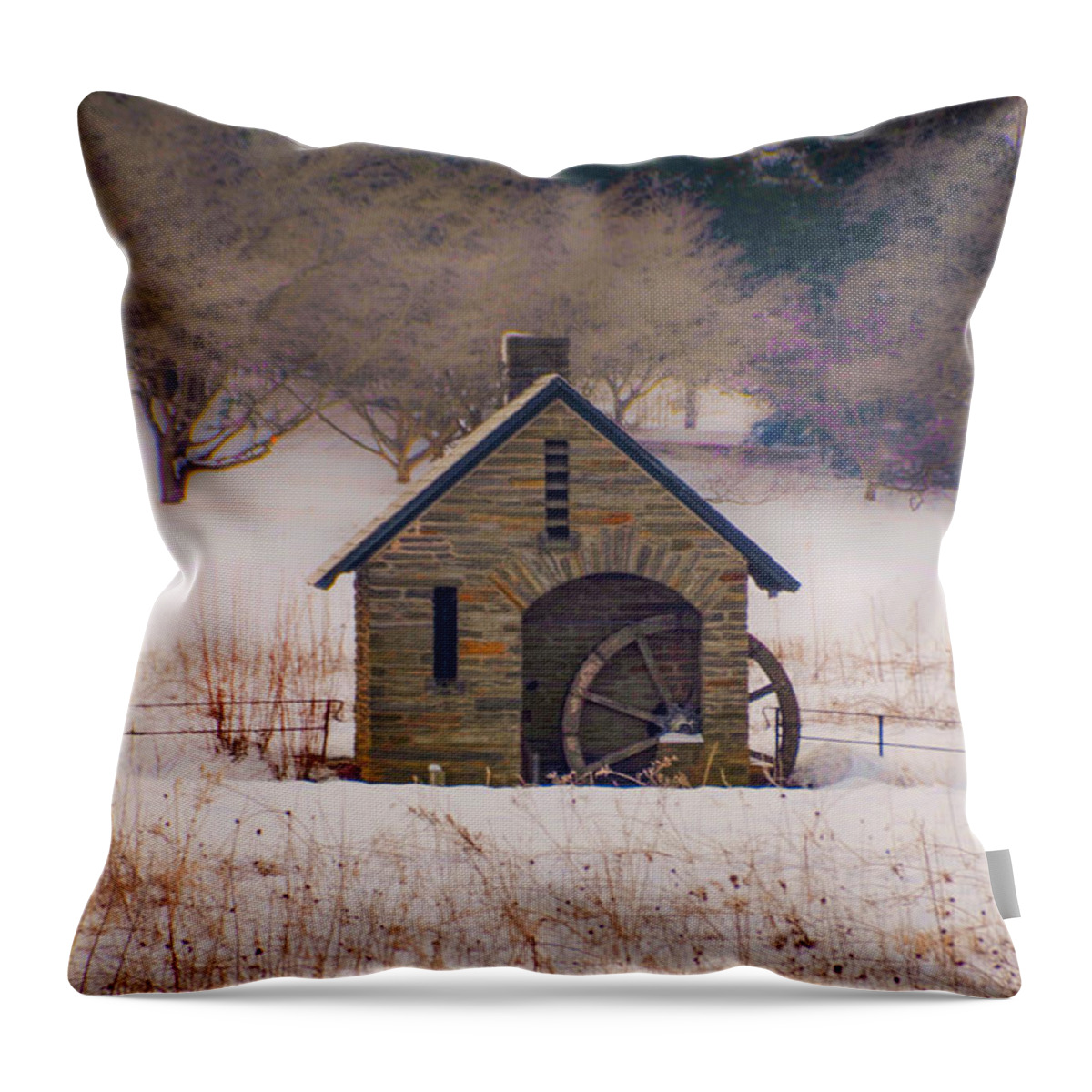 Morris Throw Pillow featuring the photograph Morris Arboretum in Winter by Bill Cannon