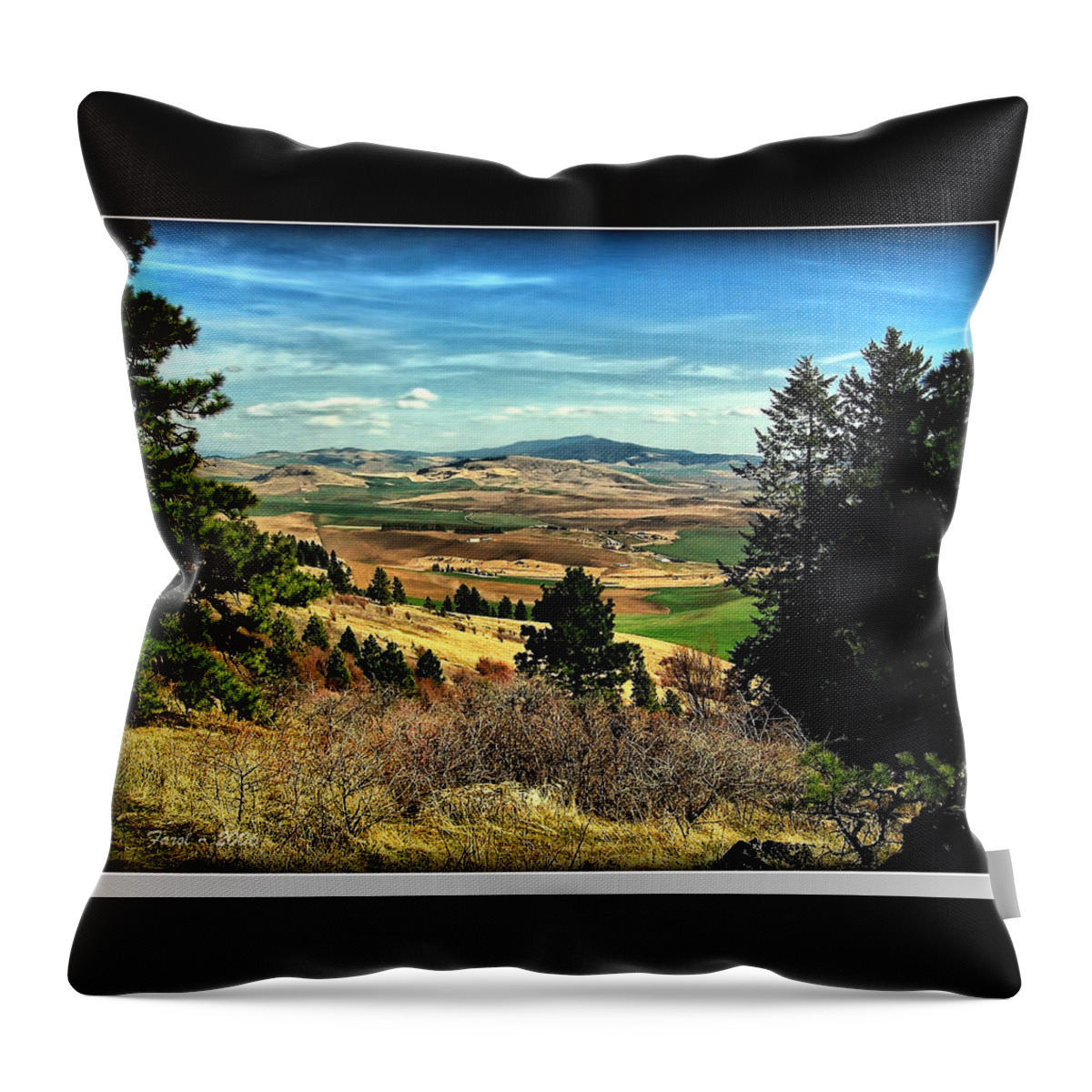 Moscow Throw Pillow featuring the photograph Moscow Mountain from Kamiak Butte by Farol Tomson