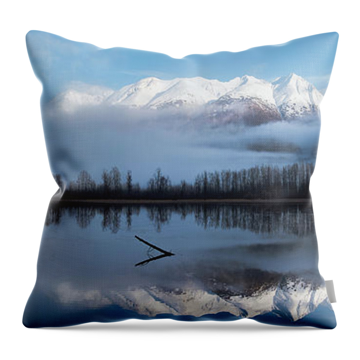 Mosquito Lake Throw Pillow featuring the photograph Mosquito Lake Panorama by David Kirby