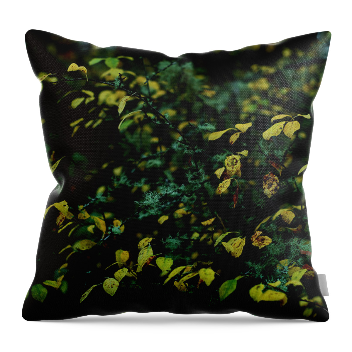 Landscape Throw Pillow featuring the photograph Moss in Colors by Gene Garnace