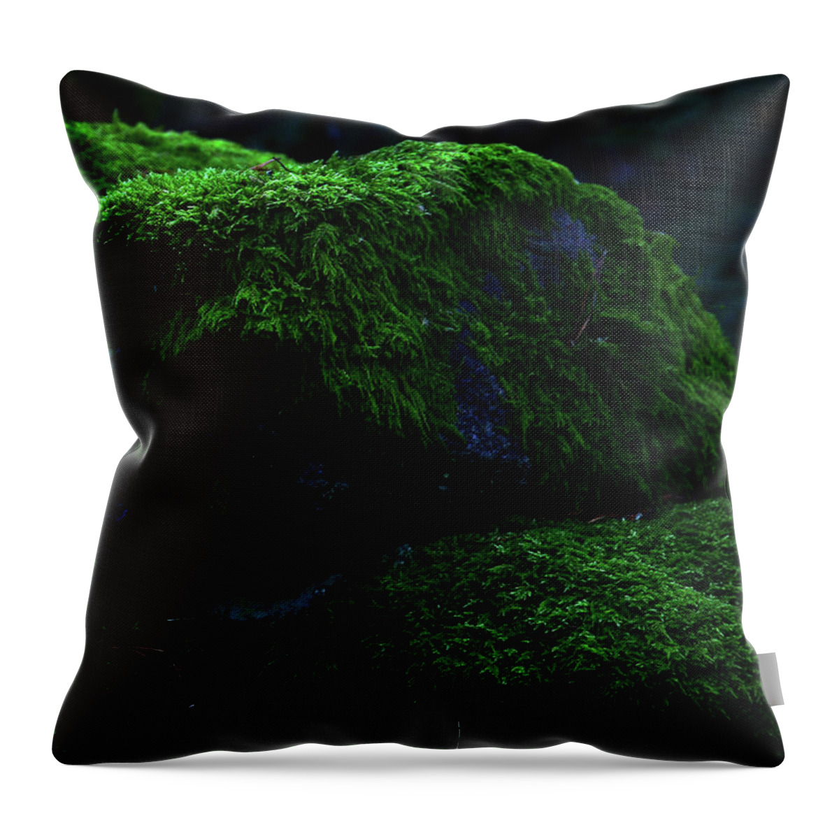 Sweden Throw Pillow featuring the pyrography Moss by Magnus Haellquist