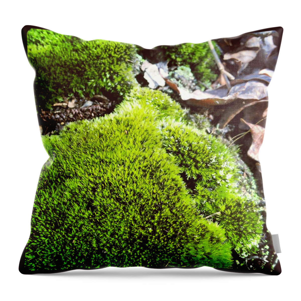Moss Throw Pillow featuring the photograph Moss by Will Felix