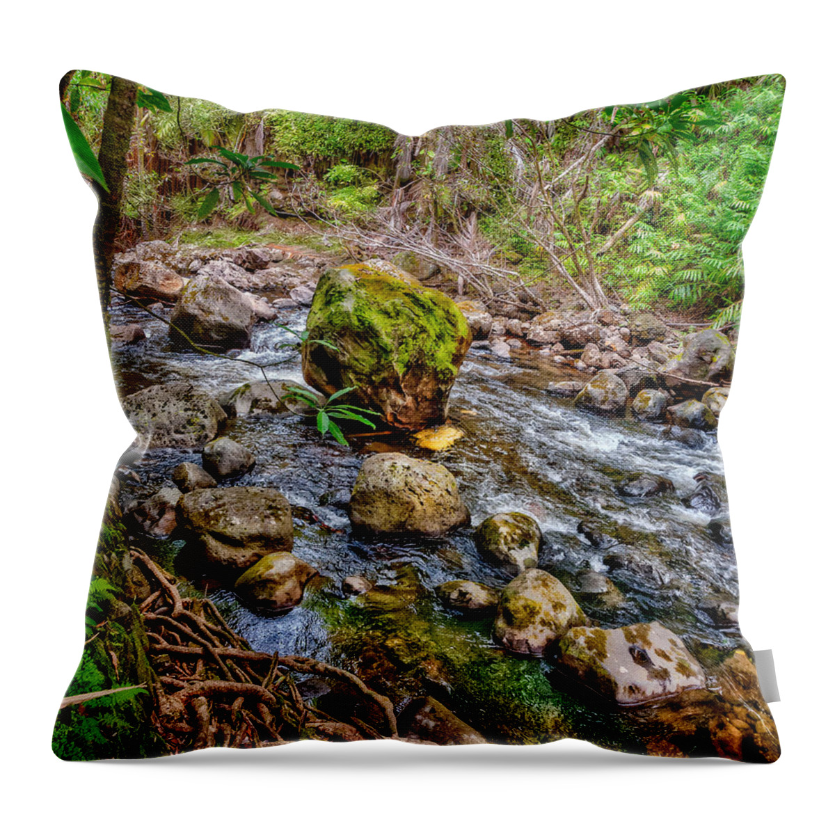 Rocks Throw Pillow featuring the photograph Mossy Boulder by Christopher Holmes