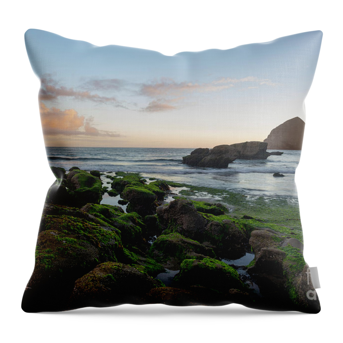 Oregon Coast Throw Pillow featuring the photograph Mossy rocks at the beach by Paul Quinn