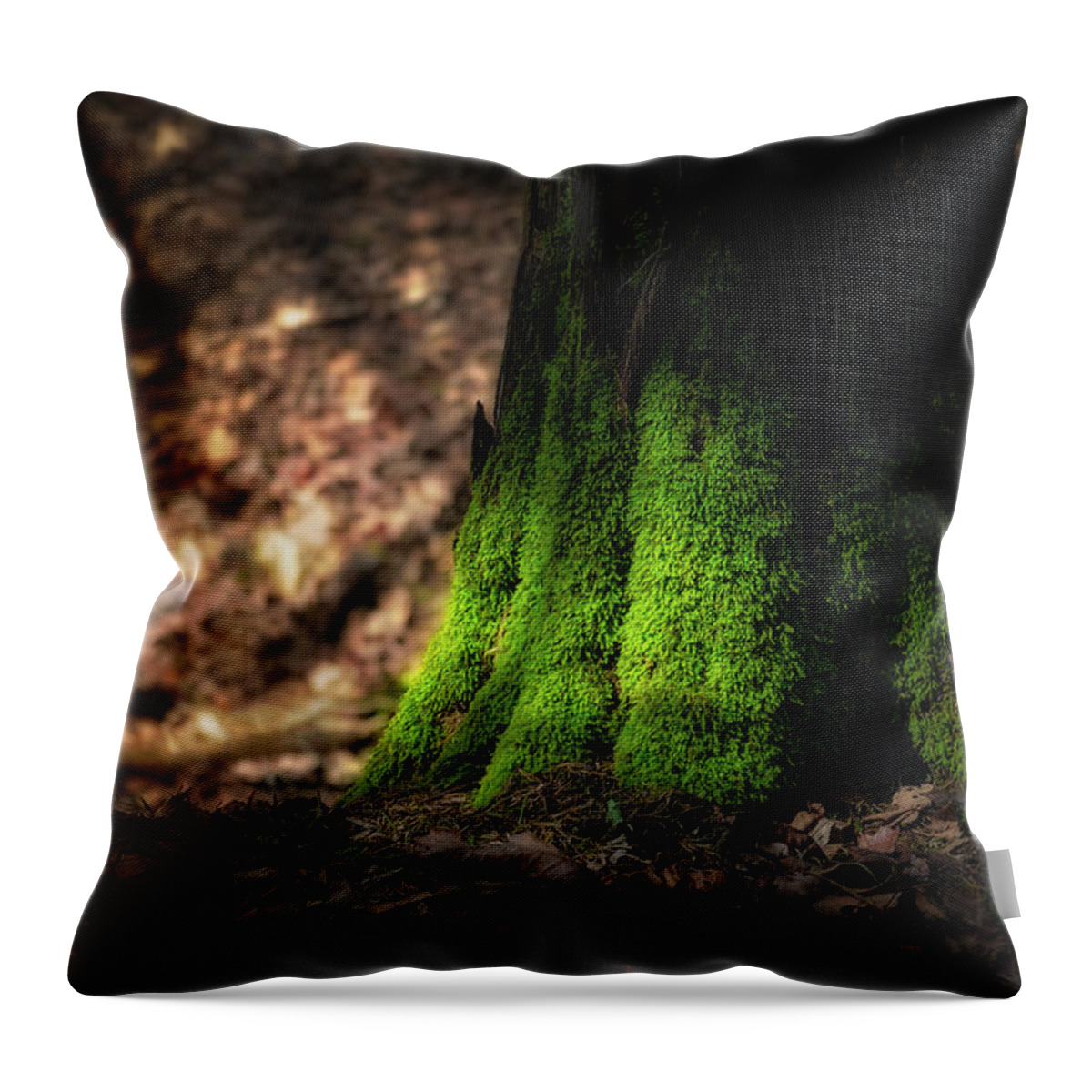  Bryophyta Throw Pillow featuring the photograph Mossy Tree by James Barber