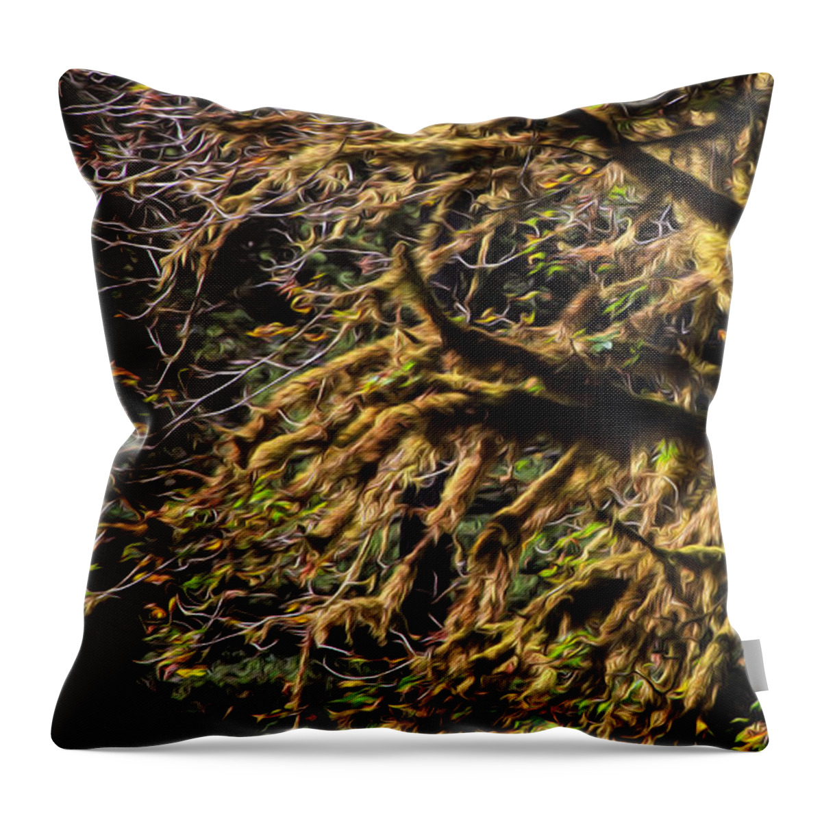Mossy Trees Throw Pillow featuring the photograph Mossy trees by Bonnie Follett