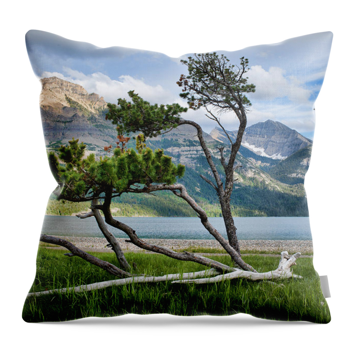 Waterton National Park Throw Pillow featuring the photograph Mostly Blown Away by Allan Van Gasbeck