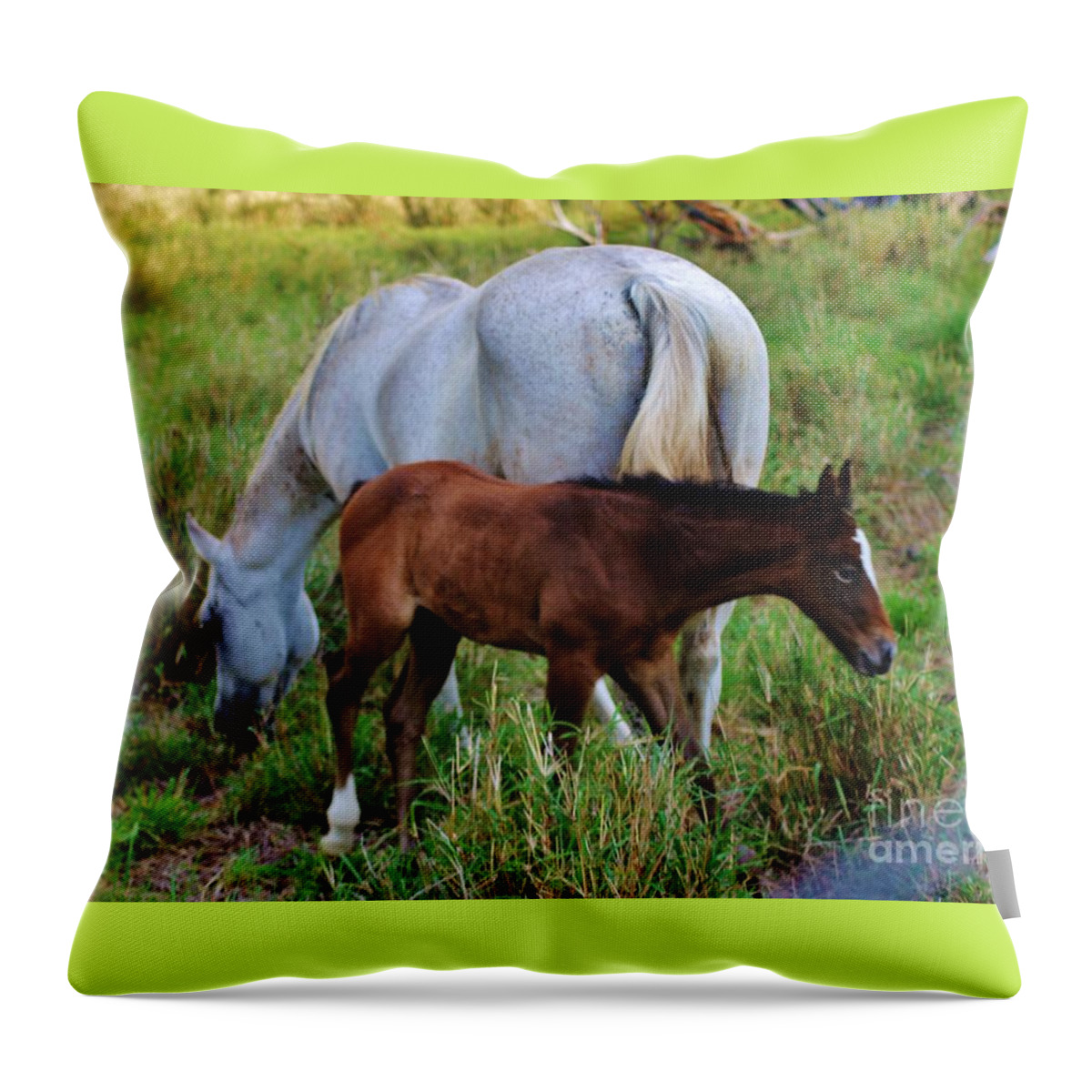 Horses Throw Pillow featuring the photograph Mother and Child by Craig Wood